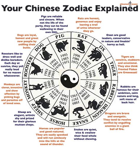 Your Chinese Astrology.